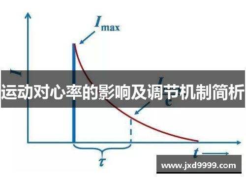运动对心率的影响及调节机制简析